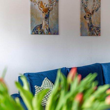 Apartament Lisowski Centrum ザコパネ エクステリア 写真