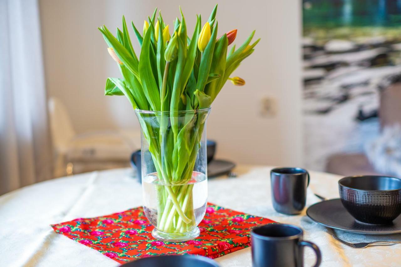 Apartament Lisowski Centrum ザコパネ エクステリア 写真
