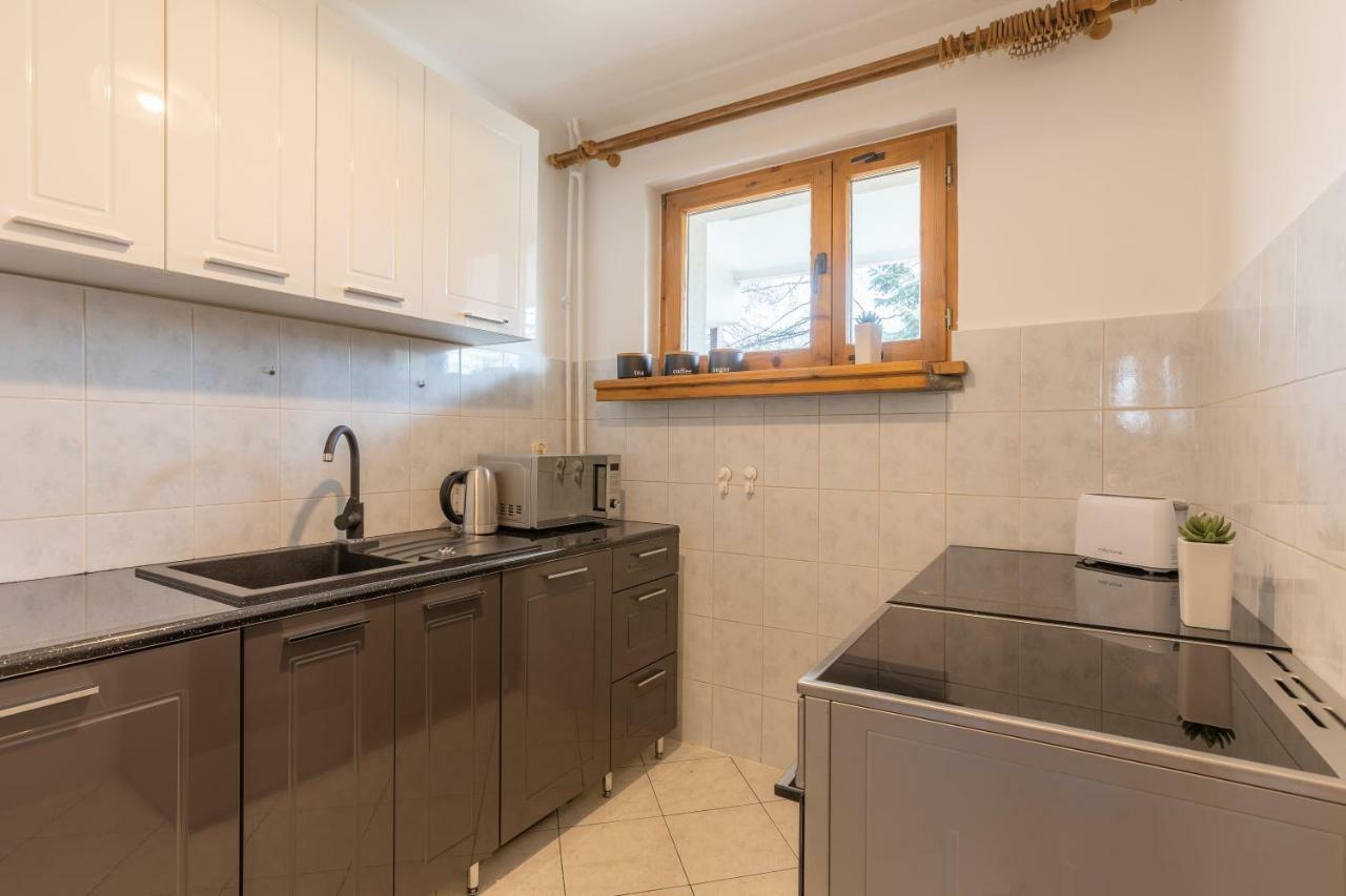 Apartament Lisowski Centrum ザコパネ エクステリア 写真