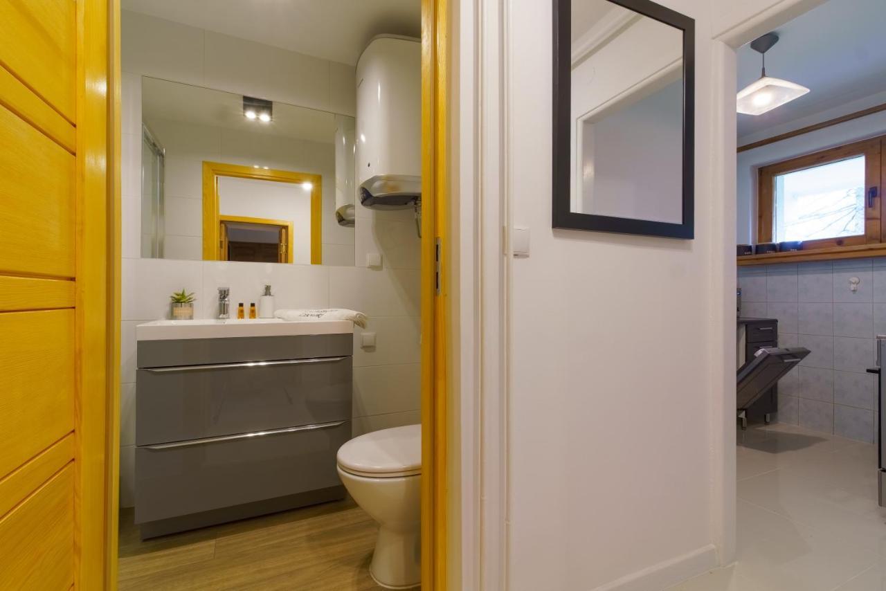 Apartament Lisowski Centrum ザコパネ エクステリア 写真